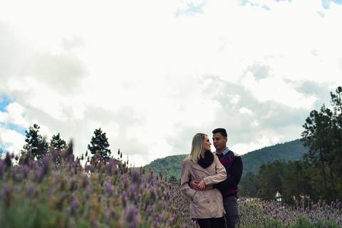 Noivos caminhando no passeio em campos do Jordão SP campos de lavanda'
