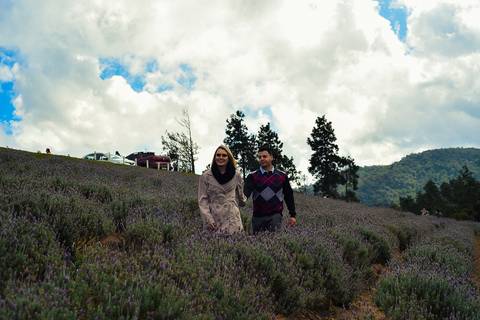 Noivos caminhando no passeio em campos do Jordão SP fotografia ronny viana'