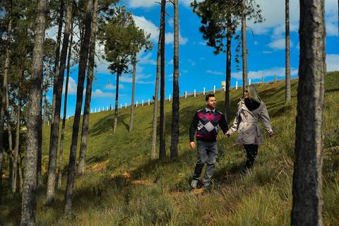 Noivos caminhando no passeio em campos do Jordão SP ronny viana fotografo de casamento em piracicaba'