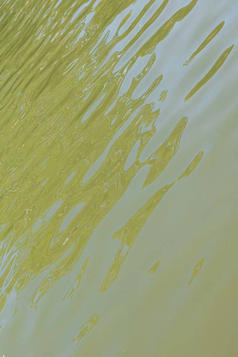 '