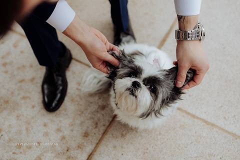Mini casamento intimista familiar Mariana e Giovani em Gramado Canela serra gaúcha por Kevin Medeiros fotógrafo canoas porto alegre rs'