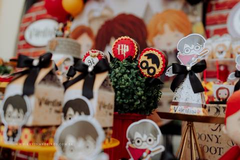Decoração festa infantil aniversário Harry Potter da decoradora priscila sackser por kevin medeiros fotógrafo canoas porto alegre rs'