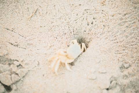 ensaio pre wedding praia branca guaruja'