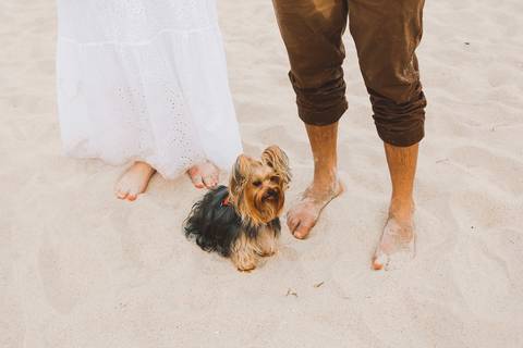 ensaio pre casamento praia branca guaruja'