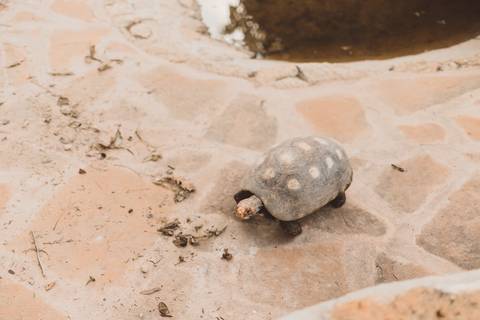 Ensaio de Família - Mariah, Mazy e Gustavo'