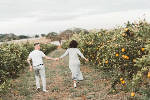 Pré casamento em Holambra'