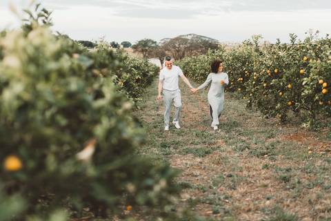 Pré casamento em Holambra'