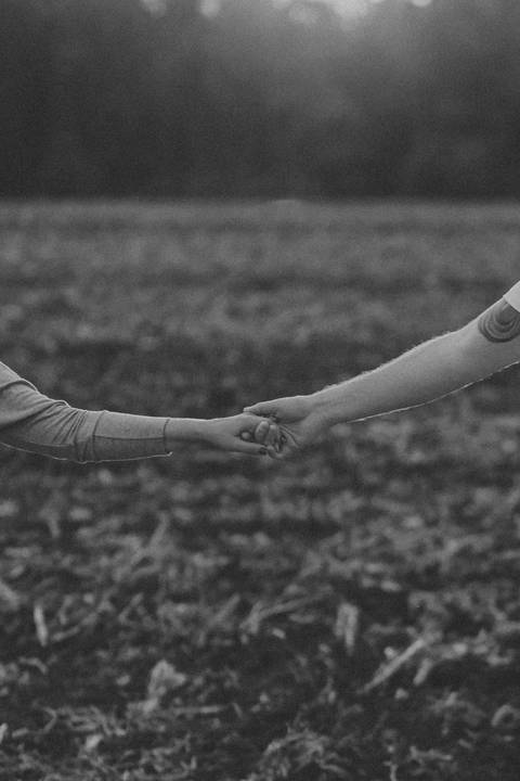 Fotos pré wedding em Holambra'