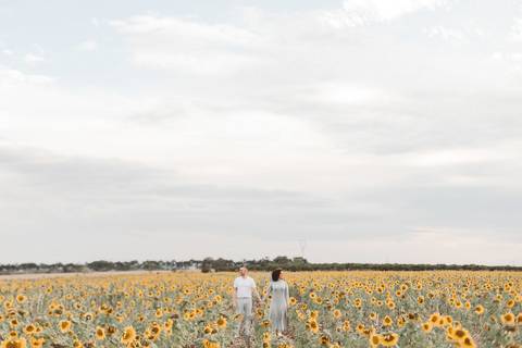 ensaio de casal em Holambra'