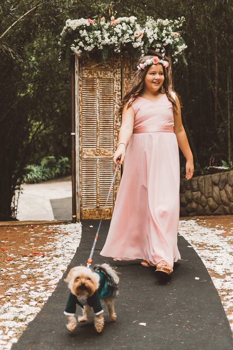 entrada dos pets casamento 2022'