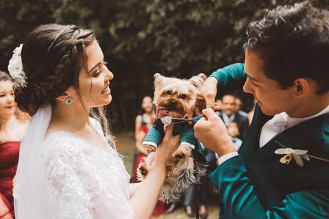 pets no casamento inspiração 2022'