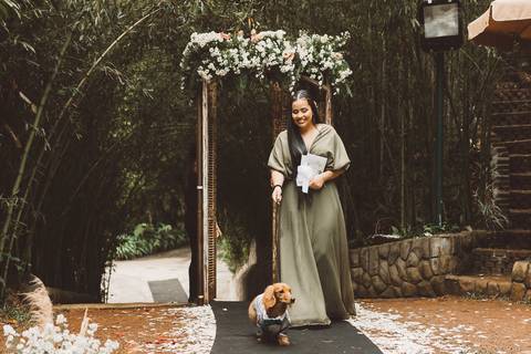 pets nos casamentos'