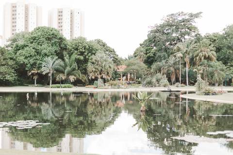 fotografia de casamento Jardim Botânico Plantarum '