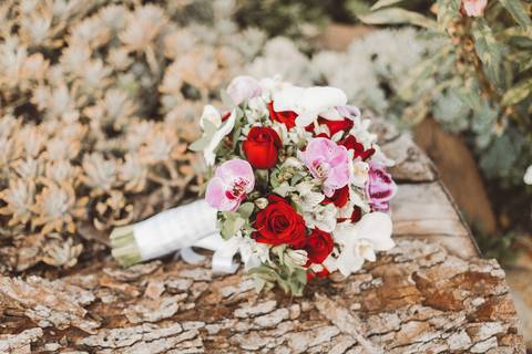fotografia de casamento Jardim Botânico Plantarum ensaio dos noivos'