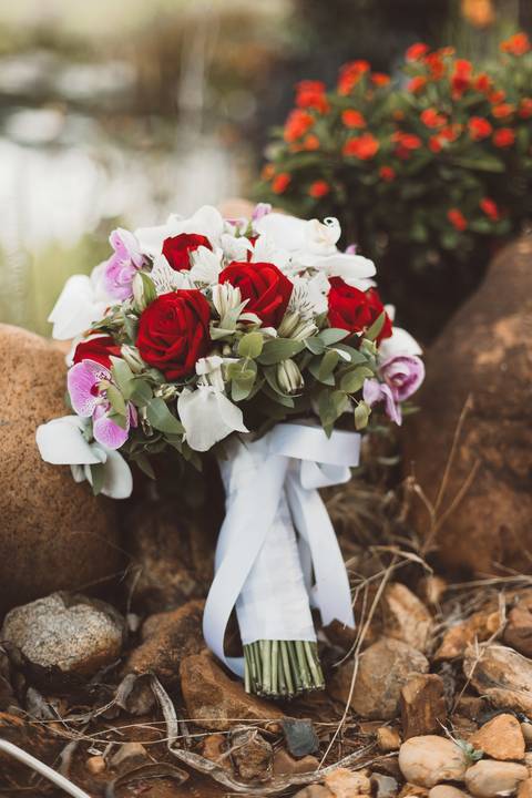 fotografia de casamento Jardim Botânico Plantarum ensaio dos noivos'