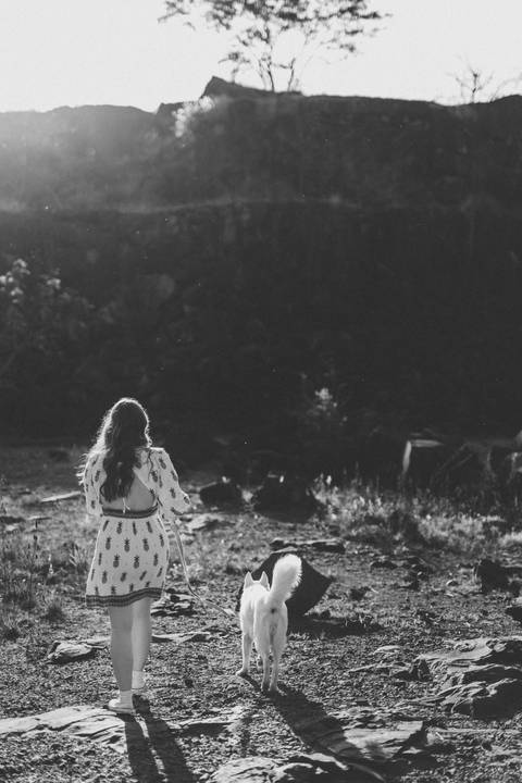 Ideia de foto criativa com cachorro'