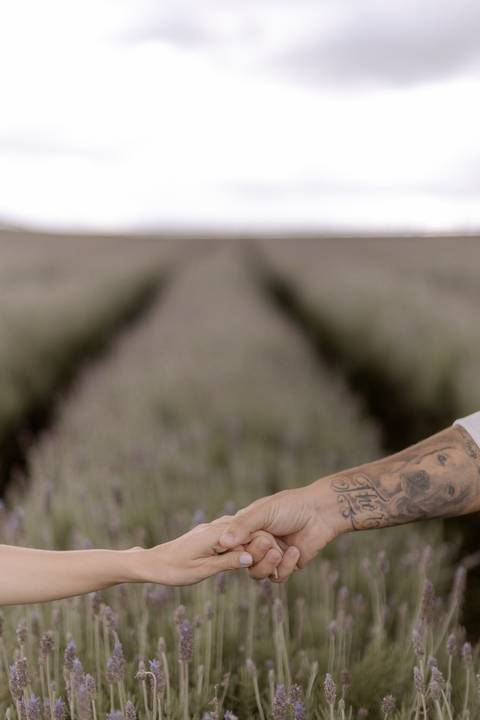Inspiração de fotos diferentes para casai no lavandario em Carambeí no Paraná '