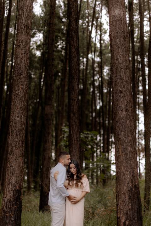 lindas fotos de familia na floresta'