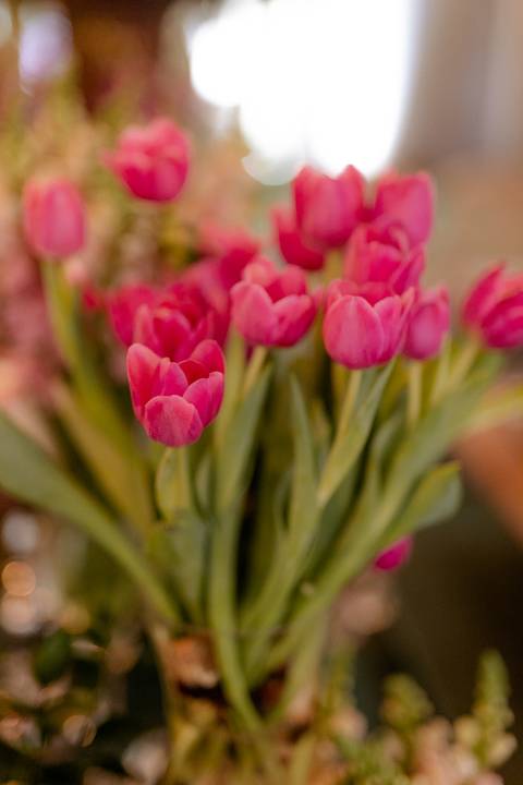 decoração de casamento com tulipas '