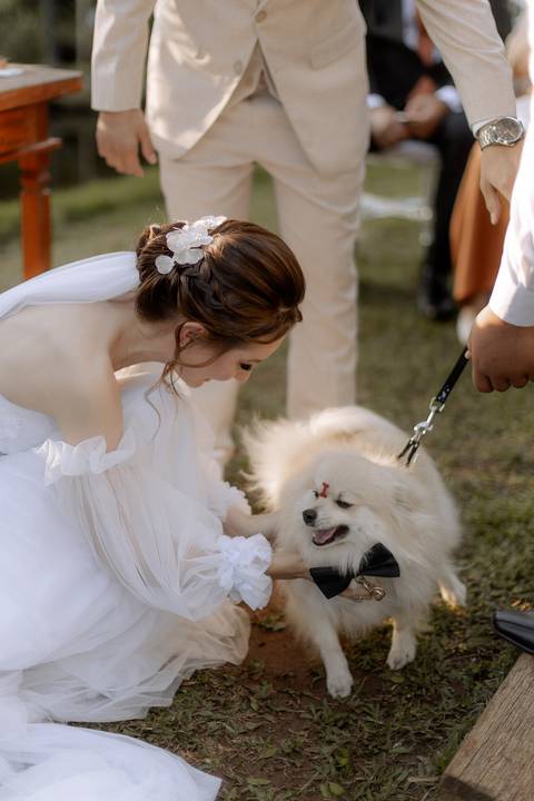 Entrada das alianças sendo entregue pelo cachorro dos noivos '