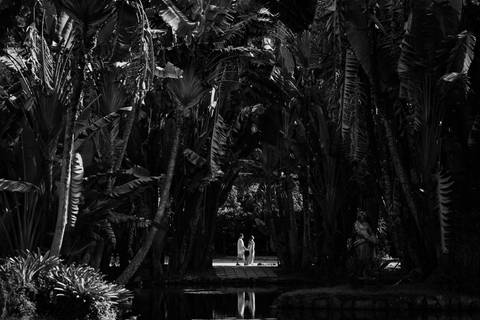ensaio pré wedding no jardim botânico no rio de janeiro '