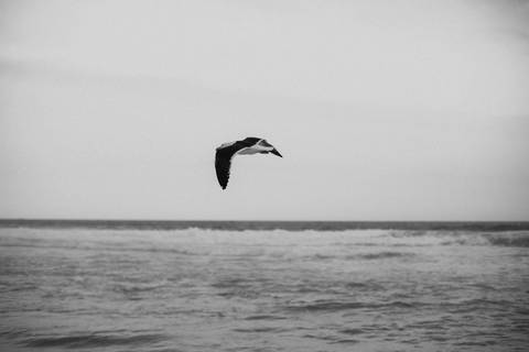 linda paisagem em praia no rio de janeiro '
