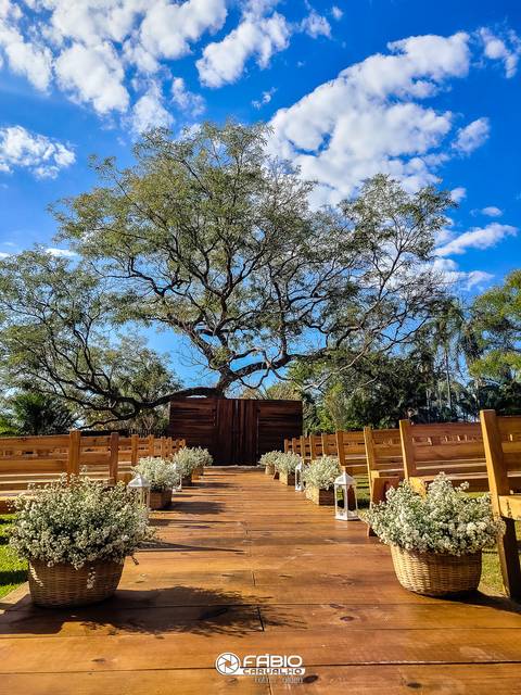 Casamento - casamento por do sol -Villa Liporoni - Evilynn e  William  -  arvore 
'