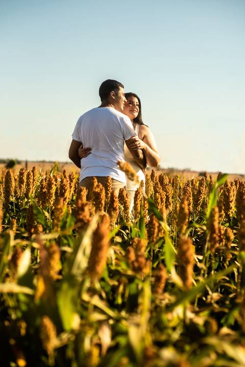 CASAL  PLANTAÇÃO  CEU AZUL  ENSAIO DE CASAL  SORGO '