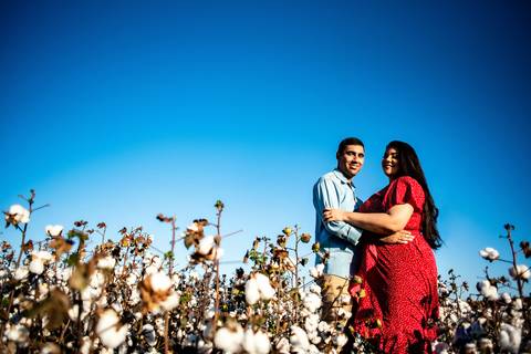 CASAL  PLANTAÇÃO  CEU AZUL  ENSAIO DE CASAL  ALGODAO '