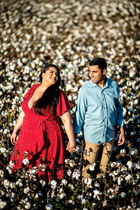 CASAL  PLANTAÇÃO  CEU AZUL  ENSAIO DE CASAL  ALGODÃO '