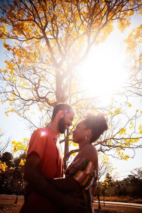 ipe  amarelo  ensaio de casal  ensaio fotografico '