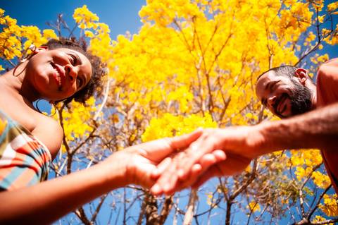 ipe  amarelo  ensaio de casal  ensaio fotografico '