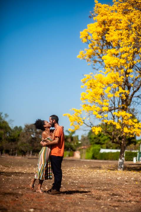 ipe  amarelo  ensaio de casal  ensaio fotografico '