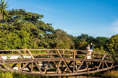 jardim  botânico  ensaio de casal '