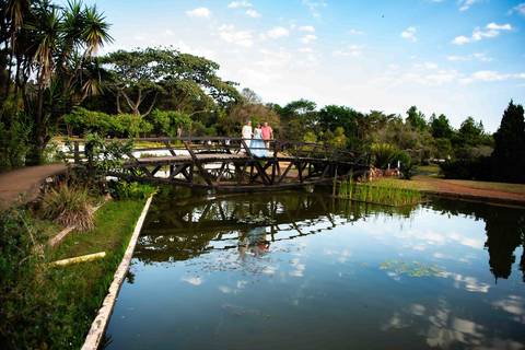   jardim botânico -  - ensaio da debutante -   vestido de princesa  - '