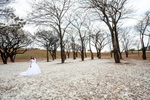 neve no cerrado  previa noiva '