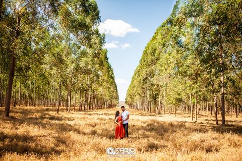ensaio de casal - préwedding -  ensaio de casal com pinheiros  - haras do morro  - thaliaetiago - vestido laranja  - casal feliz - casamento em brasilia - ensaio de casal  em brasilia '