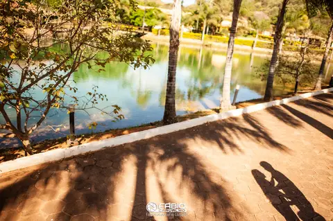 ensaio de casal - préwedding -  ensaio de casal com pinheiros  - haras do morro  - thaliaetiago - vestido laranja  - casal feliz - casamento em brasilia - ensaio de casal  em brasilia '
