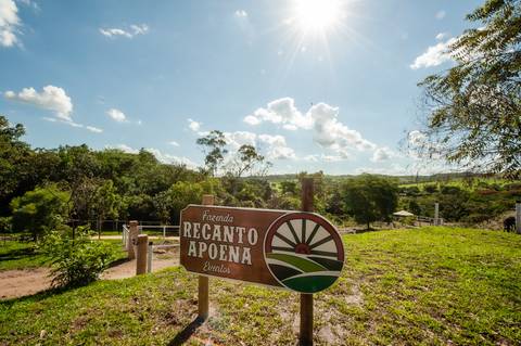 fazenda - fazenda apoena - casal - ensaiodecasal - ensaio apoema - preweddind - Any e Ad - dia de sol  -  ensaio rustico'