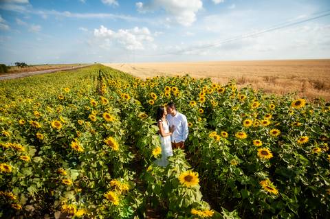 campo de trigo - girassóis - casal - ensaio de casal  -  por do sol  - dadf  - plantações '