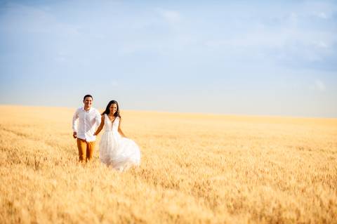 campo de trigo - girassóis - casal - ensaio de casal  -  por do sol  - dadf  - plantações '