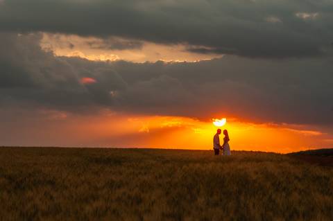 campo de trigo - girassóis - casal - ensaio de casal  -  por do sol  - dadf  - plantações  '