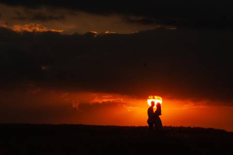 campo de trigo - girassóis - casal - ensaio de casal  -  por do sol  - dadf  - plantações '