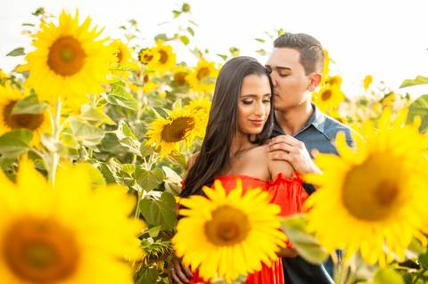 campo de trigo - girassóis - casal - ensaio de casal  -  por do sol  - dadf  - plantações '