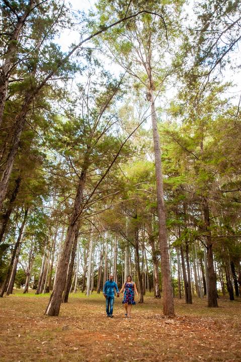 casal roupa azul  na arvores - felizes como a vida  na arvores '