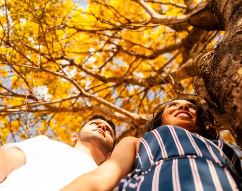 ipe amarelo - ensaio de casal - casal crente  - pre-wedding - foto criativa  '
