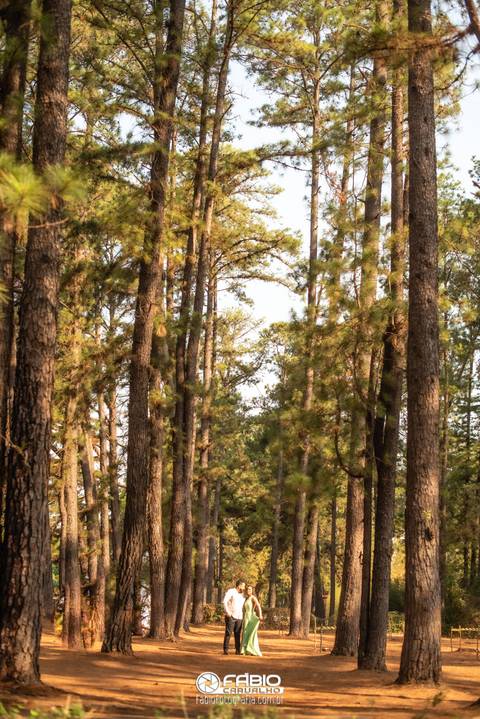 wedding - casamento andressa e Alan - andressa e Alan  - casamento em pires do rio  por do sol '