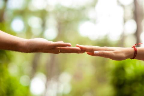 casal  - ensaio  casal  -  jardim botanico  -  ensaio de casal no jardim botãnico  - ensaio a tarde  - floresta  -  natureza '