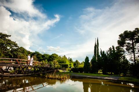 casal  - ensaio  casal  -  jardim botanico  -  ensaio de casal no jardim botãnico  - ensaio a tarde  - floresta  -  natureza '