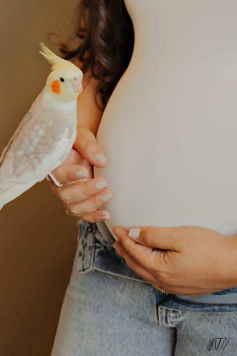 ensaiogestantesp gravida gravidez gestantesp fotosdegestante ensaiosp bookgestante ensaiogravidasp maternidade inspiraçãogestante quartoinfantil charevelação enxovaldebebe meumundorosa meumundoazul sp saopaulo '